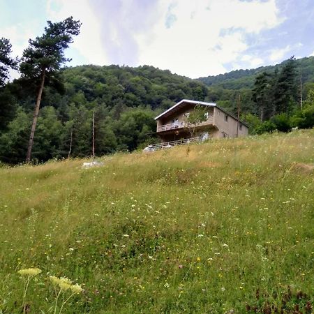 Guesthouse Gama In Khevsureti Roshka Exteriör bild