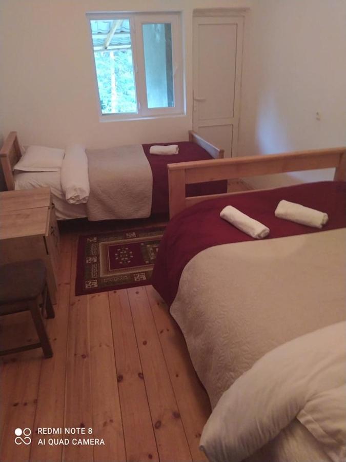 Guesthouse Gama In Khevsureti Roshka Exteriör bild