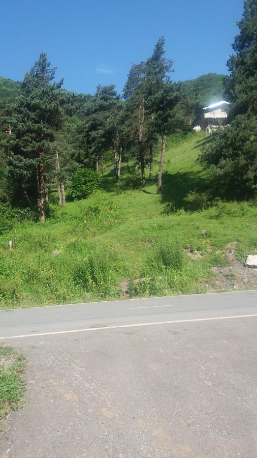 Guesthouse Gama In Khevsureti Roshka Exteriör bild