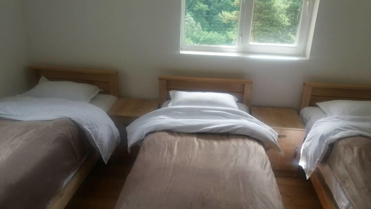 Guesthouse Gama In Khevsureti Roshka Exteriör bild
