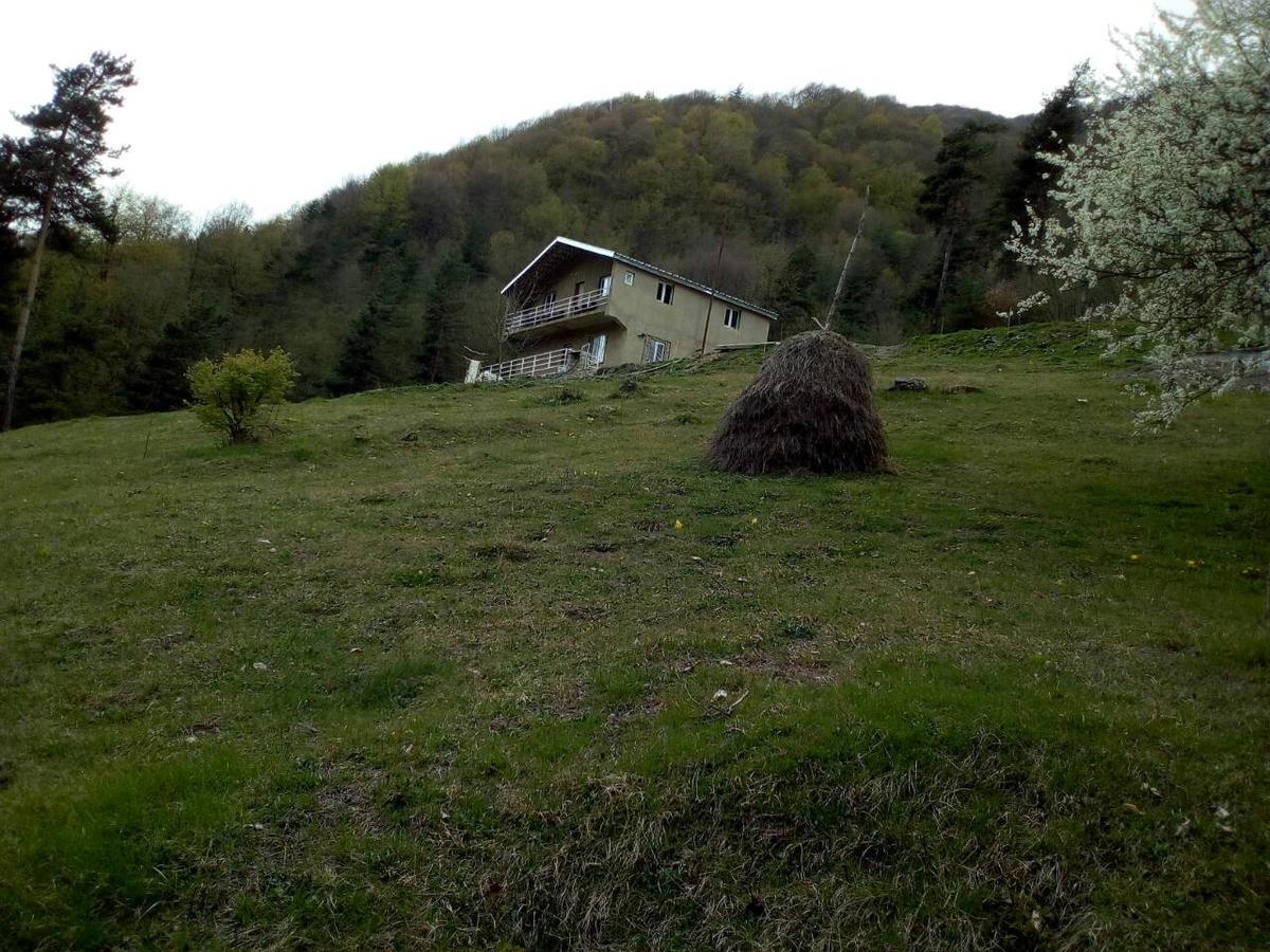 Guesthouse Gama In Khevsureti Roshka Exteriör bild