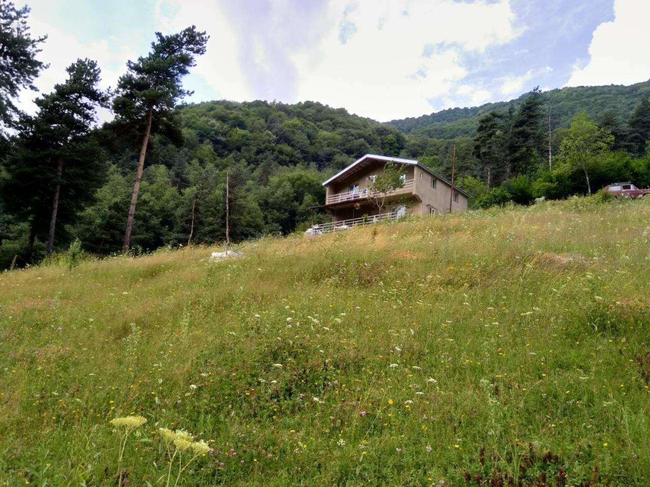 Guesthouse Gama In Khevsureti Roshka Exteriör bild