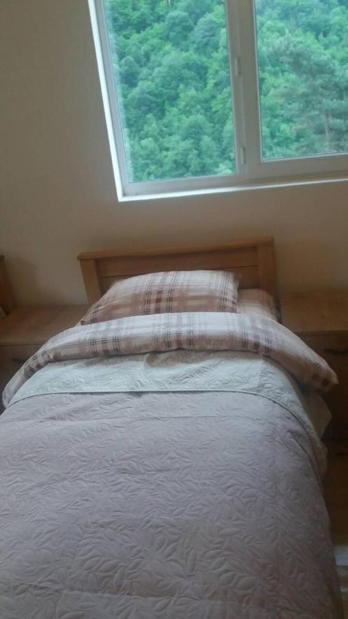 Guesthouse Gama In Khevsureti Roshka Exteriör bild
